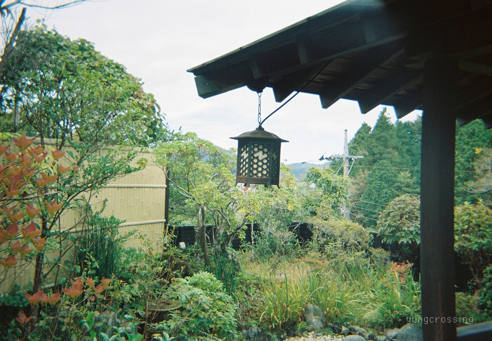 Film photography