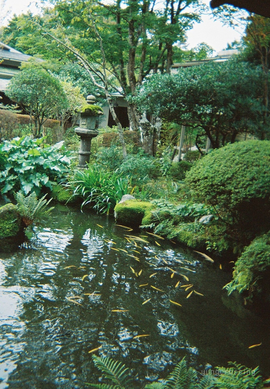 Film photography
