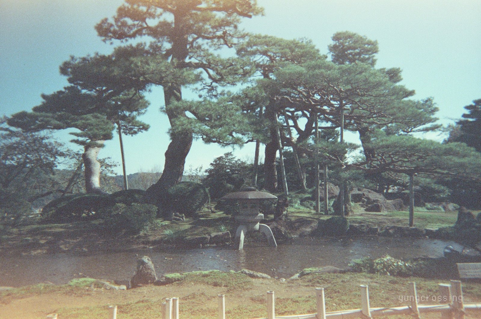Film photography