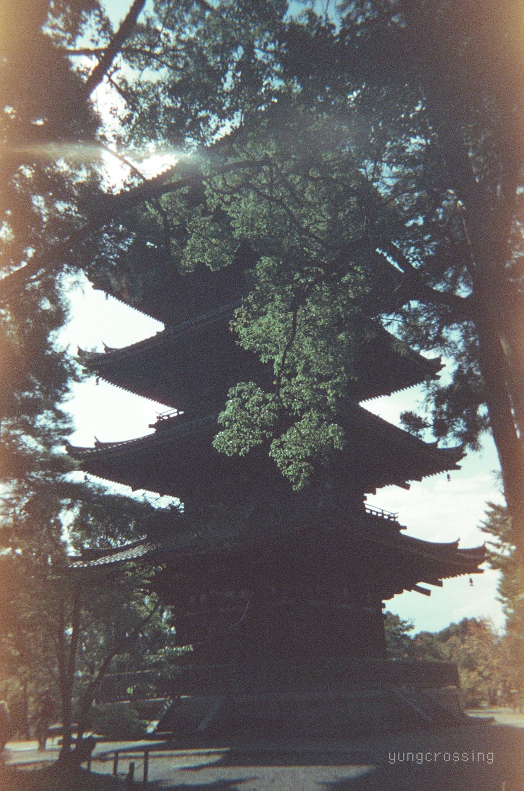Film photography