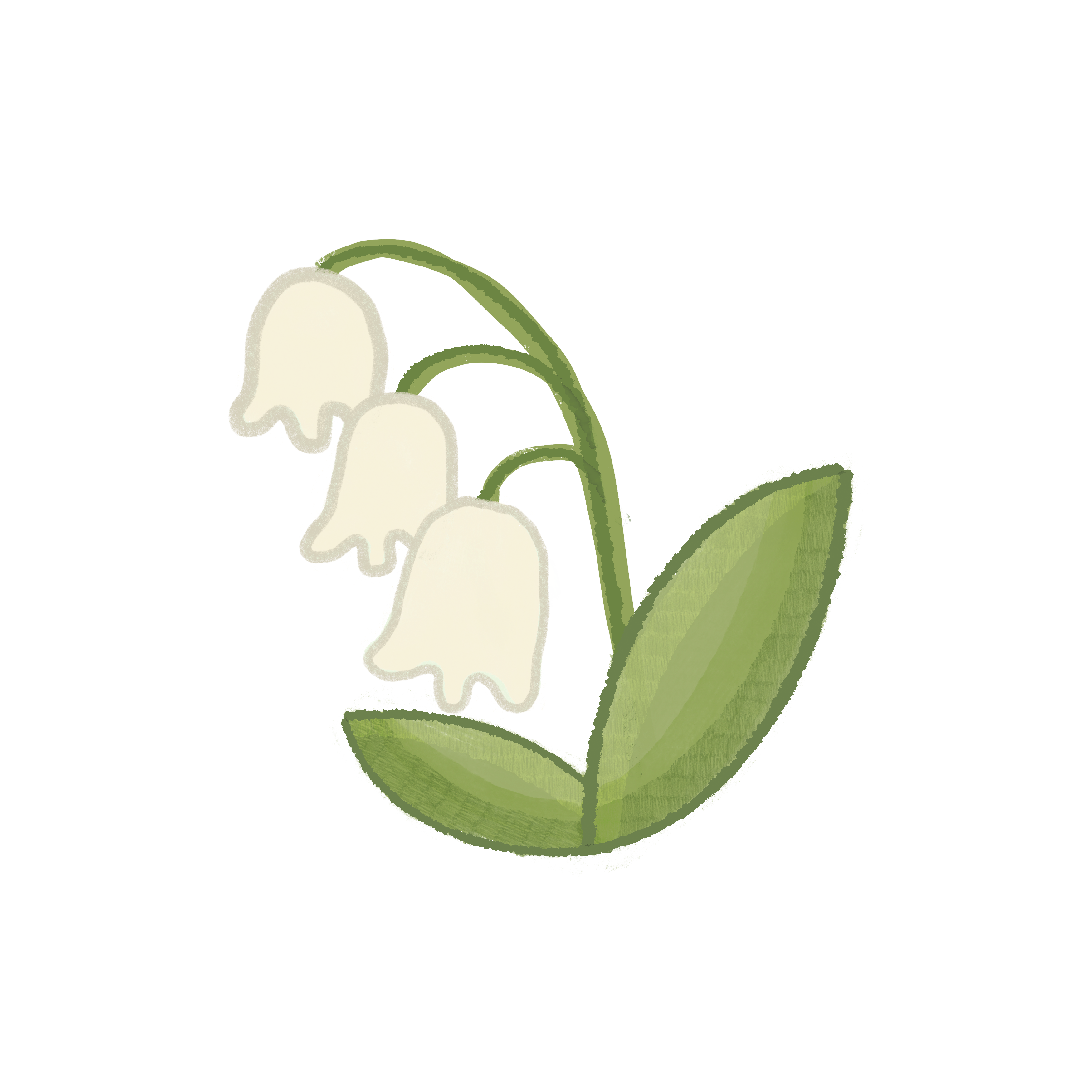 lily of the valley